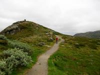 Sognefjell