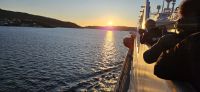Start in Bergen