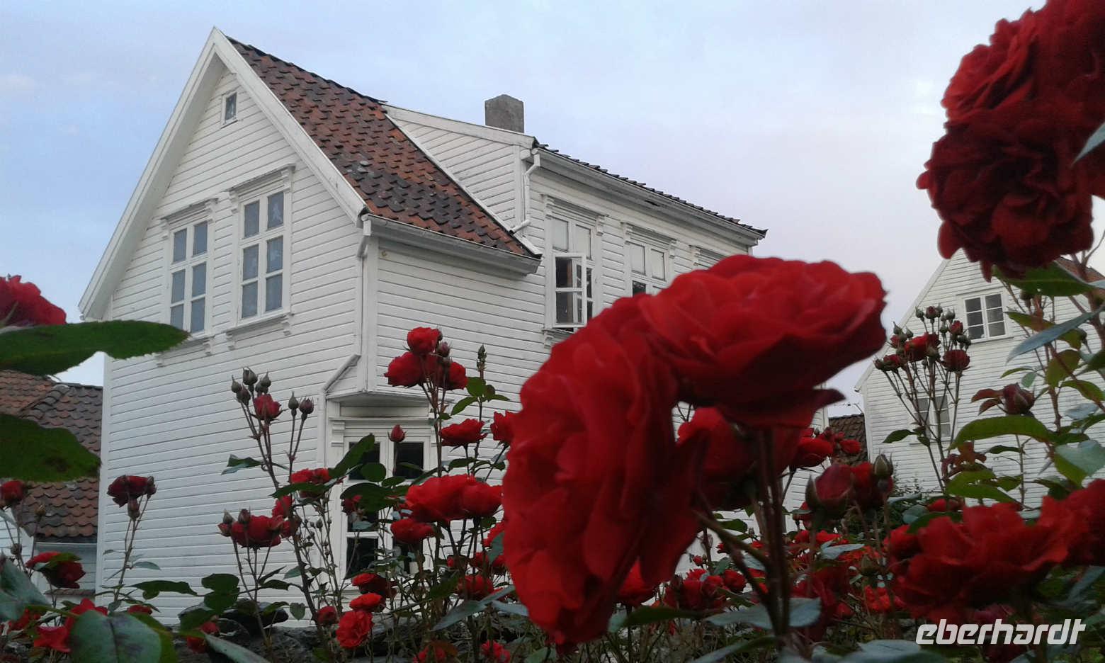 Stavanger