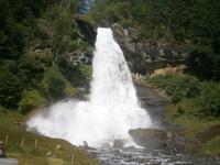 Steindalsvossen