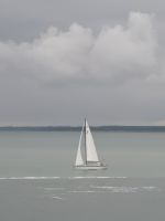 Stillleben... 