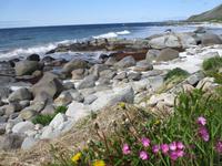 Strand in Vikten