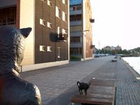 Sundsvall