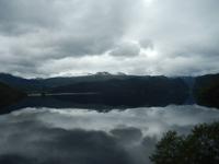 T4 Natur pur.
