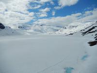 T6 Natur pur.