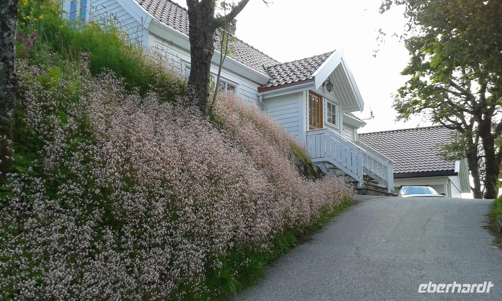 T9 Haus in Floro.