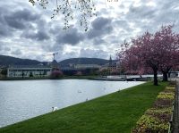 Tag 12 - Bergen.jpg