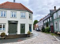 Tag 3 - Stadtteil Bakklandet.jpg