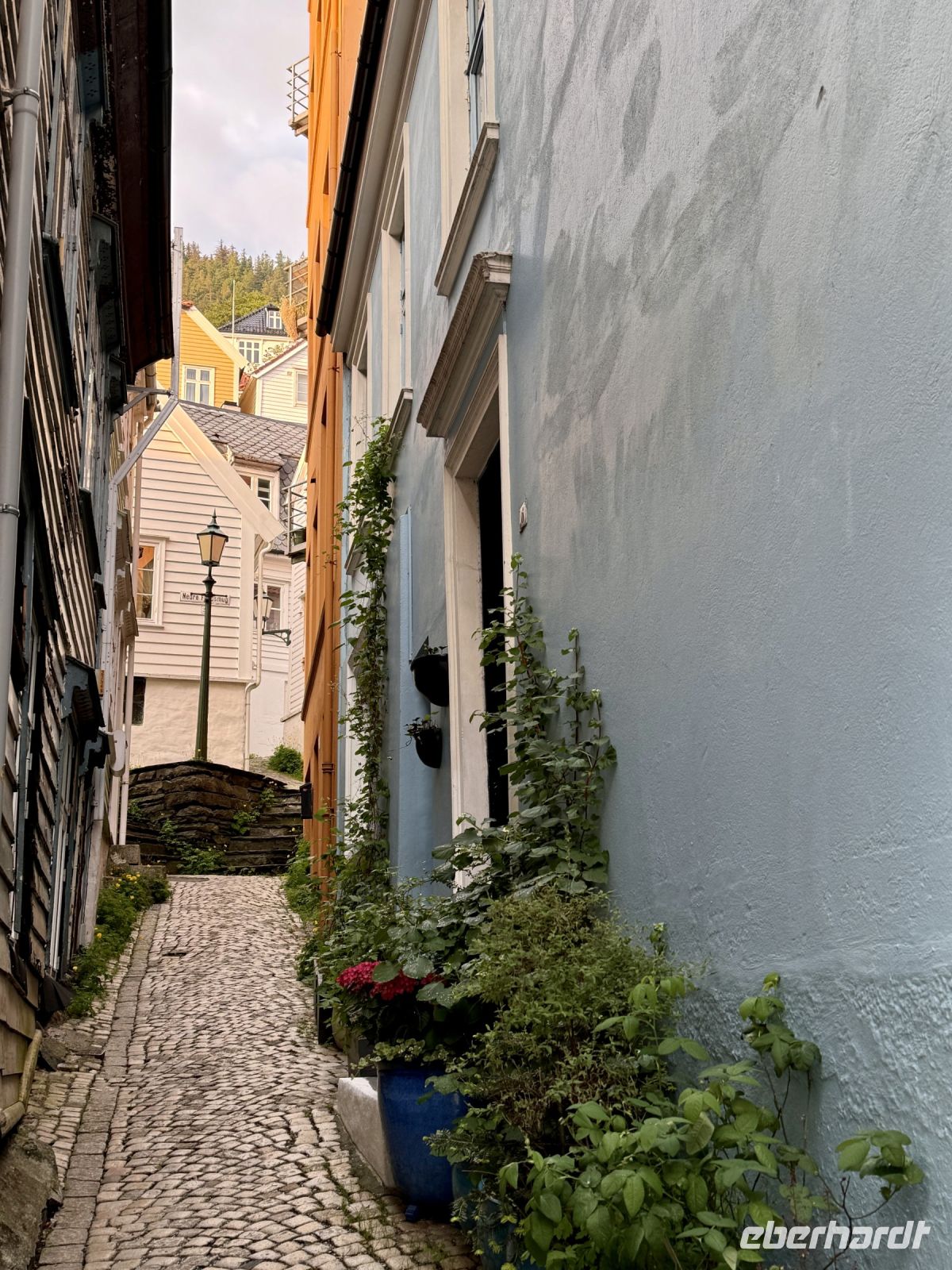 Tag 6 - Bergen
