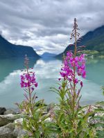 Tag 7 - Lustrafjord