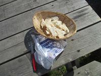 Trockenfisch