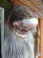 Troll