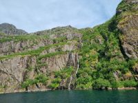 Trollfjord 