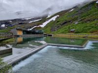 Trollstigen 