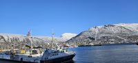 Tromsö, Fjellheisen vom Schiff aus