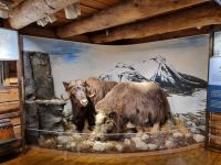 Tromsø - Polarmuseum 
