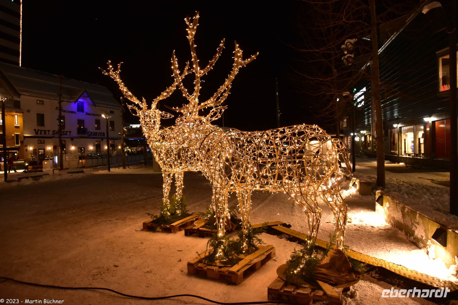 Tromsø - Rentiere