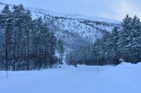 Troms