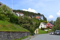 Trondheim (5)
