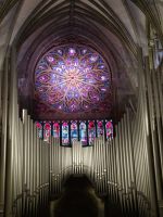 Trondheim - Nidaros-Dom - Rosette und Orgel