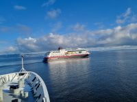 Trondheimfjord - Begegnung mit dem nordwärts gehenden Hurtigrutenschiff 