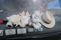 Unsere Maskotchen