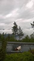 Utviksfjell