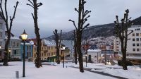 Verschneites Bergen - sehr seltenes Phänomen