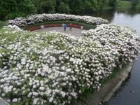 Vigeland Park Oslo