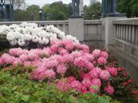 Vigeland Park Oslo