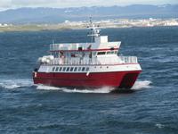 Walbeobachtungsboot