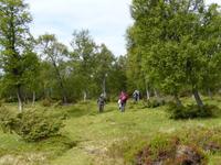 Wanderung am Moysalen-Nationalpark