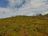 Wanderung zum Husfjellet