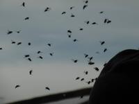 Wanderung zum Storheia