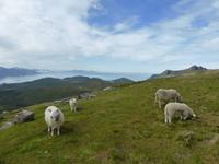 Wanderung zum Storheia