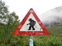 Warnung vorm Troll