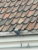 Was machst du da?