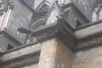 Wasserspeier am Dom