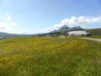 Wikingermuseum in Borg