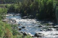 Wildbach