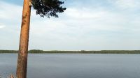 Wildes Schweden