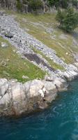 Windows Phone_20160621_019