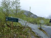 am Briksdalsbreen