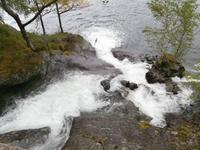 am Hardangerfjord