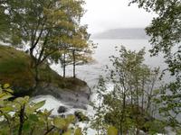 am Hardangerfjord
