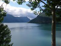 am Lustrafjord