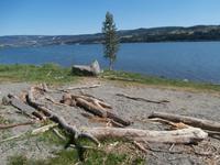 am Mjösasee