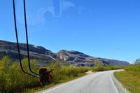 am Porsangerfjord