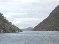 auf dem Weg zu den Strudeln: Einfahrt in Skjerstadfjord 