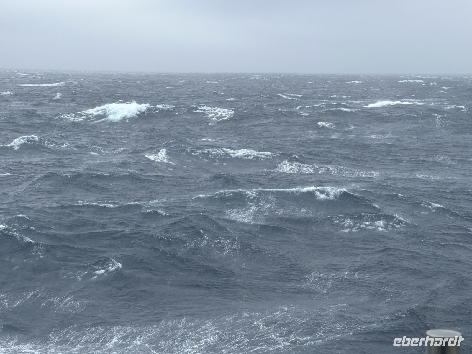 bei einer Kreuzfahrt mit der MS Spitsbergen im Nordatlantik kann es auch unruhig werden